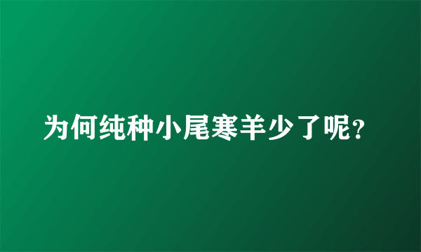 为何纯种小尾寒羊少了呢？