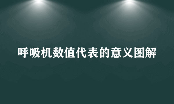 呼吸机数值代表的意义图解