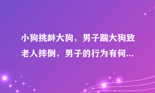 小狗挑衅大狗，男子踹大狗致老人摔倒，男子的行为有何不妥呢？