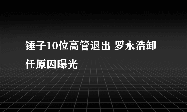 锤子10位高管退出 罗永浩卸任原因曝光