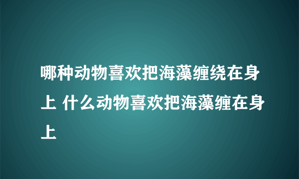 哪种动物喜欢把海藻缠绕在身上 什么动物喜欢把海藻缠在身上