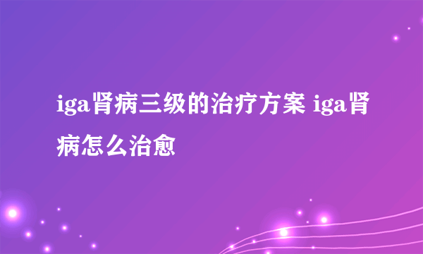 iga肾病三级的治疗方案 iga肾病怎么治愈