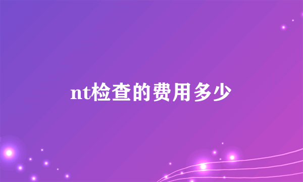 nt检查的费用多少