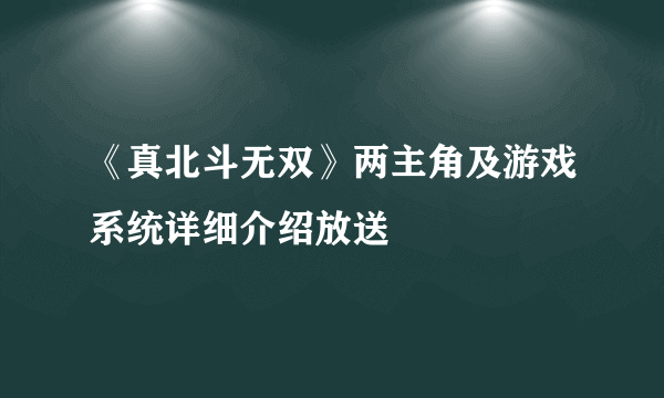 《真北斗无双》两主角及游戏系统详细介绍放送