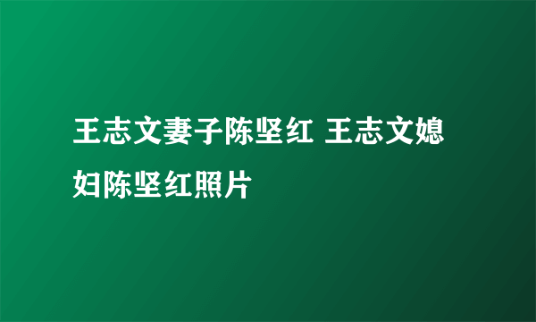 王志文妻子陈坚红 王志文媳妇陈坚红照片