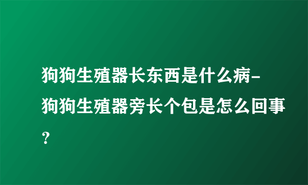 狗狗生殖器长东西是什么病-狗狗生殖器旁长个包是怎么回事？