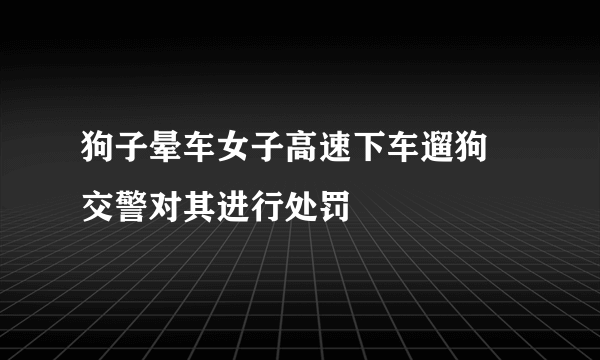 狗子晕车女子高速下车遛狗 交警对其进行处罚