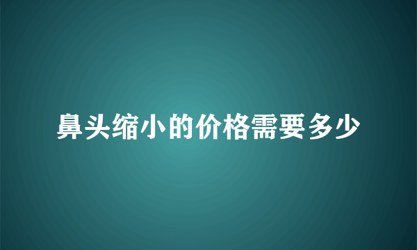 鼻头缩小的价格需要多少