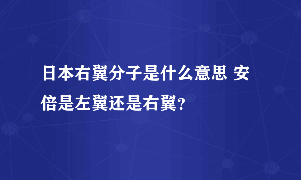 日本右翼分子是什么意思 安倍是左翼还是右翼？