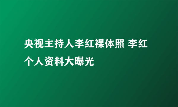 央视主持人李红裸体照 李红个人资料大曝光