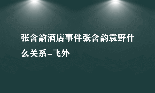 张含韵酒店事件张含韵袁野什么关系-飞外