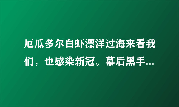 厄瓜多尔白虾漂洋过海来看我们，也感染新冠。幕后黑手到底是谁？