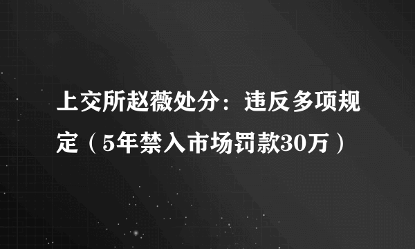 上交所赵薇处分：违反多项规定（5年禁入市场罚款30万）