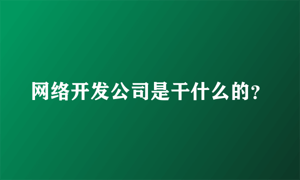 网络开发公司是干什么的？