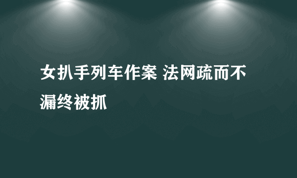 女扒手列车作案 法网疏而不漏终被抓