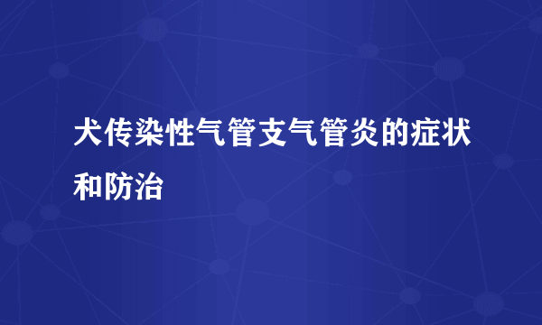 犬传染性气管支气管炎的症状和防治