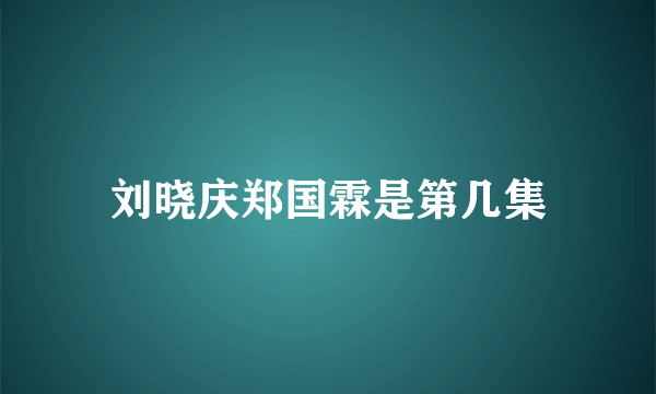 刘晓庆郑国霖是第几集