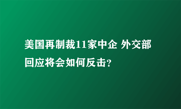 美国再制裁11家中企 外交部回应将会如何反击？