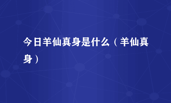 今日羊仙真身是什么（羊仙真身）