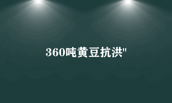 360吨黄豆抗洪