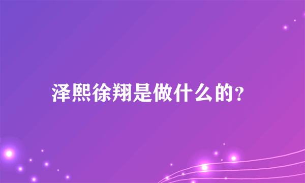 泽熙徐翔是做什么的？