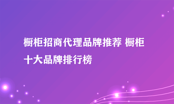 橱柜招商代理品牌推荐 橱柜十大品牌排行榜