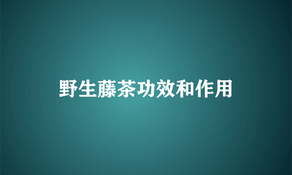 野生藤茶功效和作用