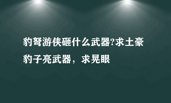 豹弩游侠砸什么武器?求土豪豹子亮武器，求晃眼