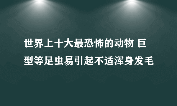 世界上十大最恐怖的动物 巨型等足虫易引起不适浑身发毛