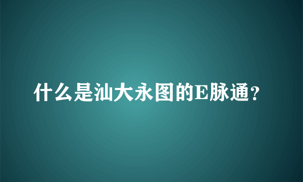 什么是汕大永图的E脉通？