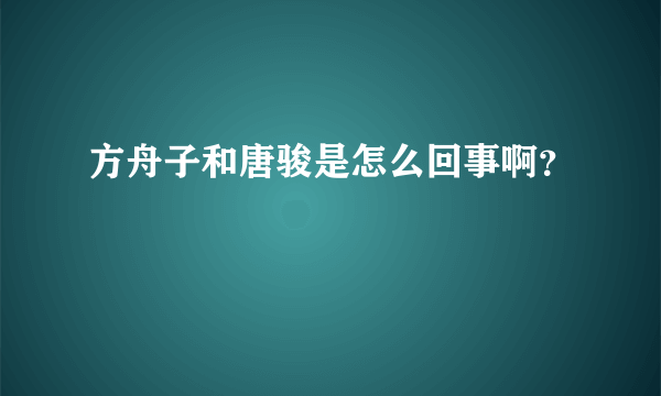 方舟子和唐骏是怎么回事啊？