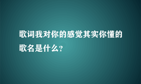 歌词我对你的感觉其实你懂的歌名是什么？