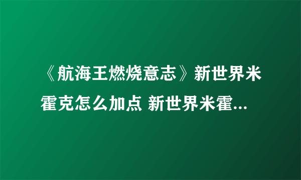 《航海王燃烧意志》新世界米霍克怎么加点 新世界米霍克加点分享