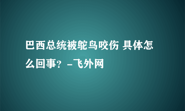 巴西总统被鸵鸟咬伤 具体怎么回事？-飞外网