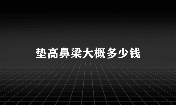 垫高鼻梁大概多少钱