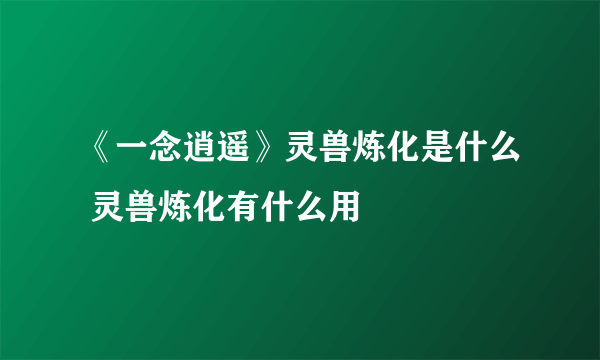 《一念逍遥》灵兽炼化是什么 灵兽炼化有什么用