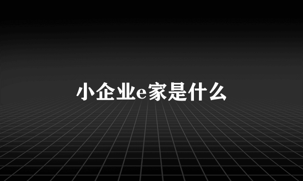 小企业e家是什么