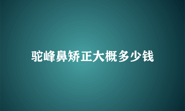 驼峰鼻矫正大概多少钱