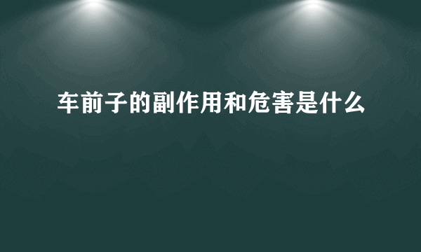 车前子的副作用和危害是什么