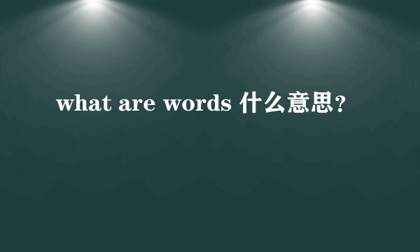 what are words 什么意思？