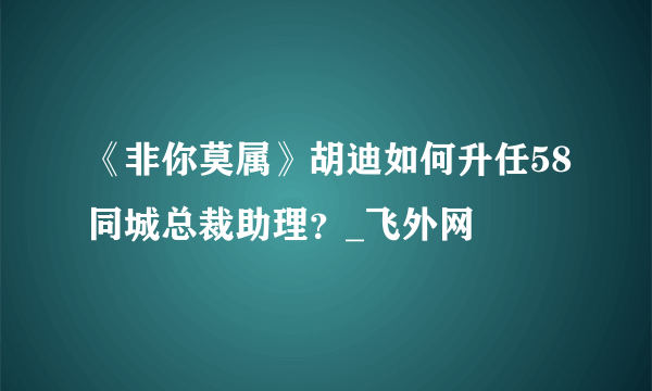 《非你莫属》胡迪如何升任58同城总裁助理？_飞外网