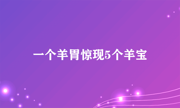 一个羊胃惊现5个羊宝