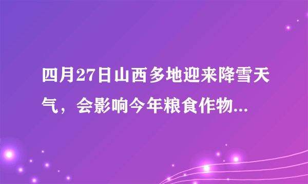 四月27日山西多地迎来降雪天气，会影响今年粮食作物产量吗？