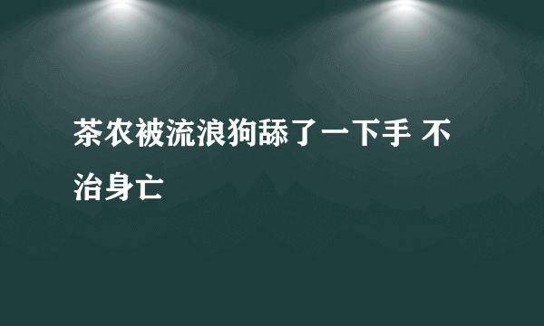 茶农被流浪狗舔了一下手 不治身亡