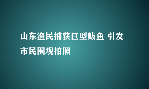 山东渔民捕获巨型鲅鱼 引发市民围观拍照