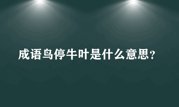 成语鸟停牛叶是什么意思？