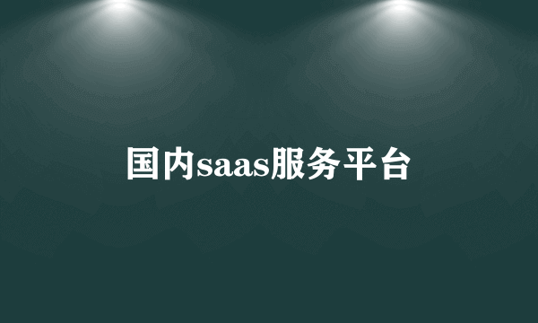 国内saas服务平台