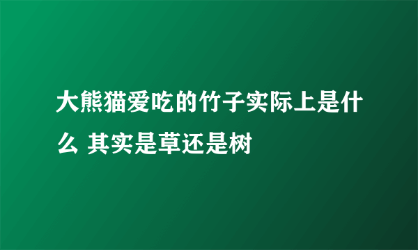 大熊猫爱吃的竹子实际上是什么 其实是草还是树