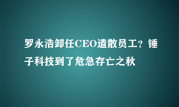 罗永浩卸任CEO遣散员工？锤子科技到了危急存亡之秋