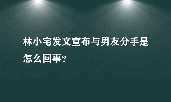 林小宅发文宣布与男友分手是怎么回事？